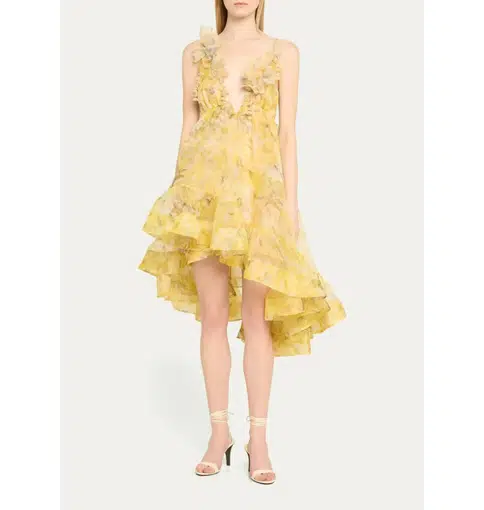 BUY: Zimmermann Botanica Bralette Mini Dress – WMIYHire