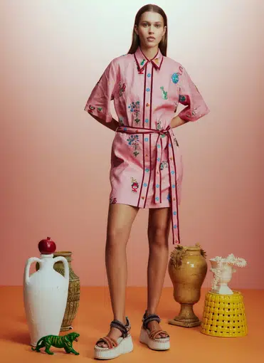 Timmy Embroidered Mini Dress