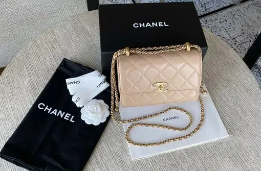 CHANEL Perfect Fit Flap Bag **RARE** size SMALL* Adjustable Strap in Beige.  BNIB