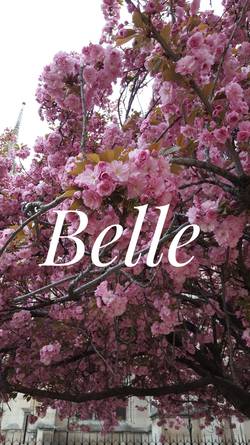 Belle Van guardia Profile Image