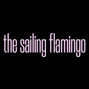 the sailing flamingo Profile Image