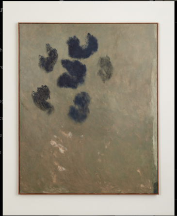 India Rose Profile Image