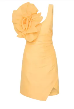 Aje Energy Mini Dress Yellow Size 6 for rent on The Volte - image 3