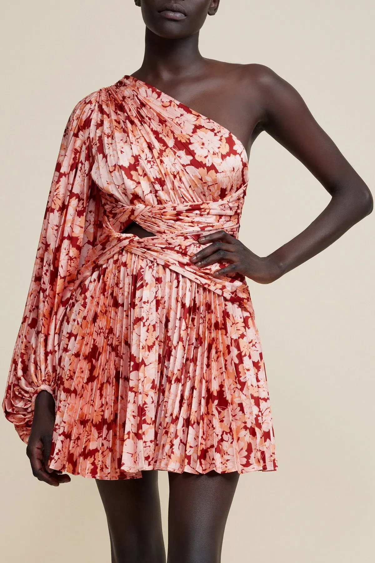 Acler Auroa Floral Mini Dress Rouge Medley Size 14 - Image 1