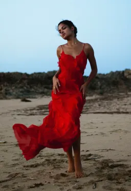 Rat and Boa Cecilia Dress Red Size 6 for rent on The Volte - image 3