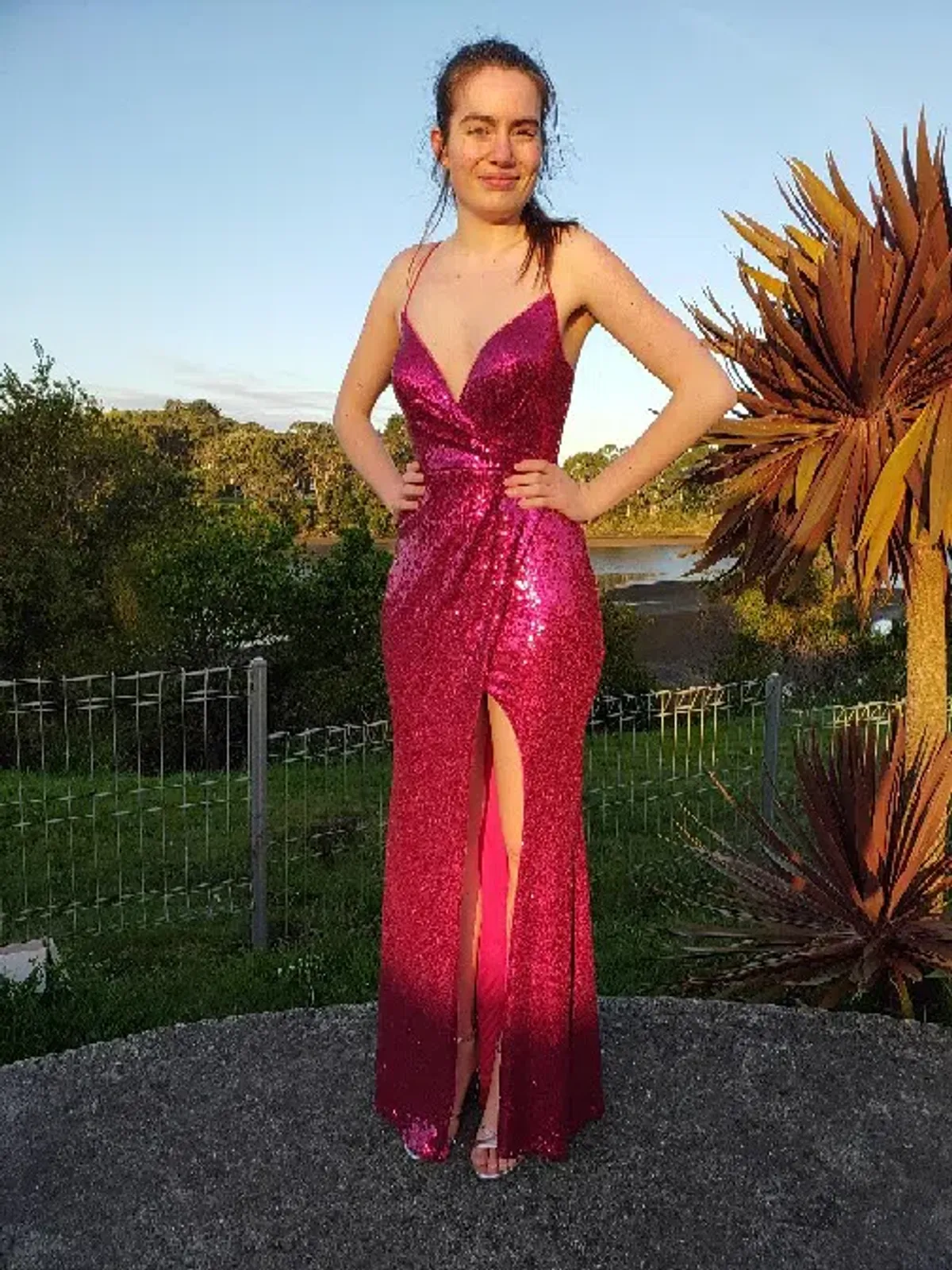 Bariano Alexandrite Maxi Dress Pink Size 8 - Image 1