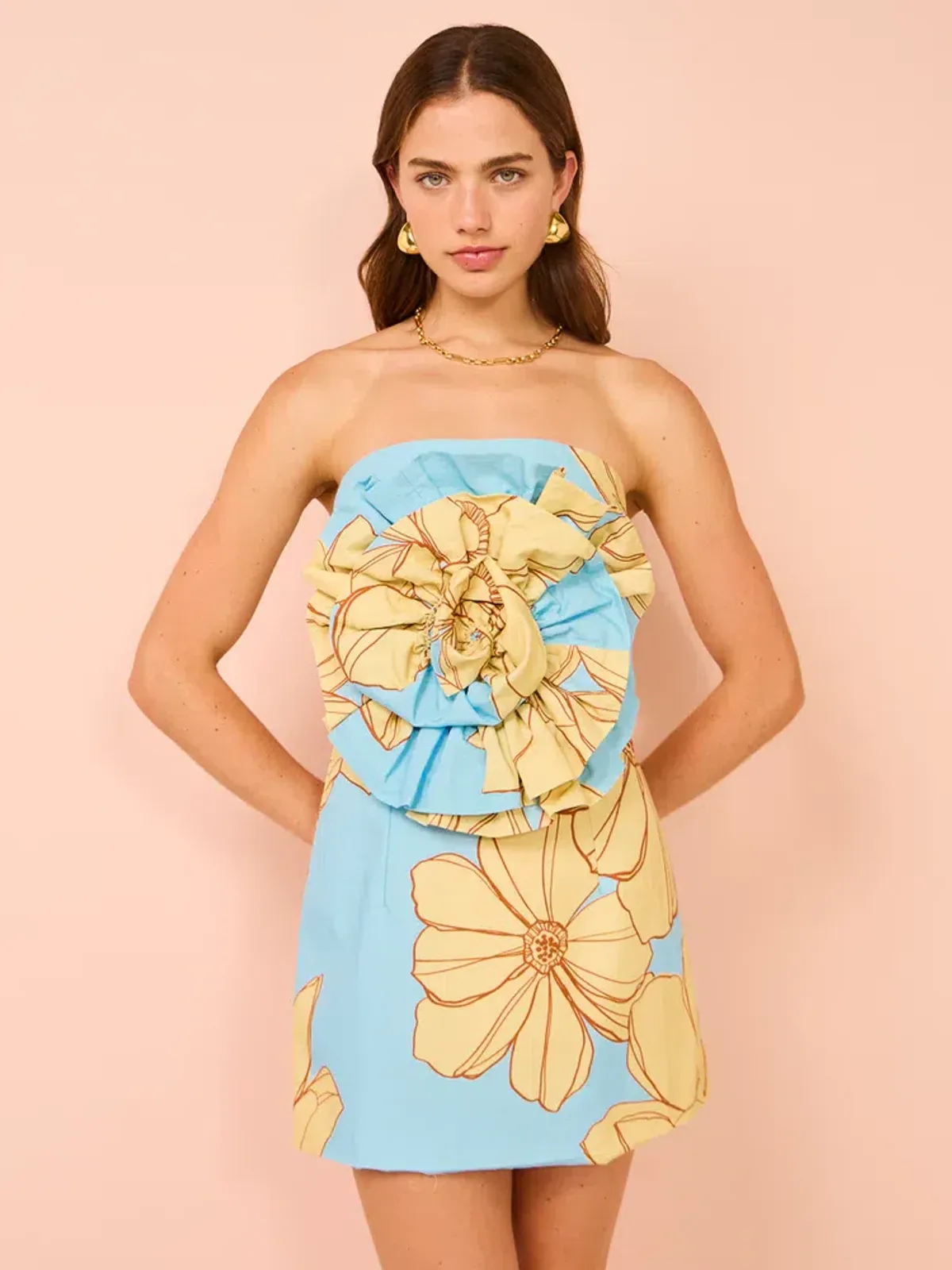 Issy Rose Bodice Mini Dress In Summer Print Size 10 - Image 2