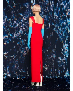 Solace London Calluna Maxi Dress in Red Size AU 4 for rent on The Volte - image 2