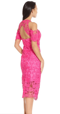 Thurley Pink Lace Dress for rent on The Volte - image 2