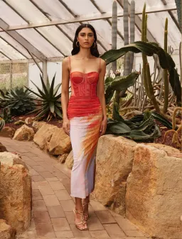 Rebecca Vallance Frida Corset Midi Dress  Print Size AU 8  for rent on The Volte - image 1