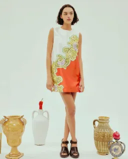 Alemais Sierra Mini Dress Print Size AU 8 for rent on The Volte - image 1