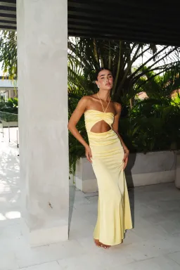 HNTR Aude Dress Lemon Size S/Au 8 for rent on The Volte - image 1