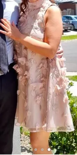 Elliatt Tabitha dress size 10/M for rent on The Volte - image 1
