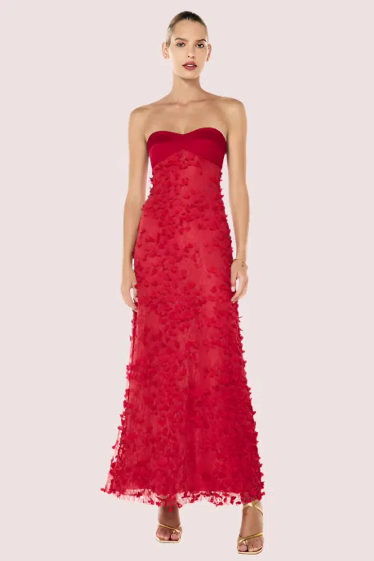 Manning Cartell Enchanment Balconette Gown Size 8 - Image 1
