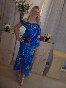 Elie Tahari Aimee Dress Blue Print Size 12 for rent on The Volte - image 1