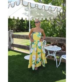 Leo Lin Lynn Bustier Midi Dress Joie Print in Sunshine Size 10 for rent on The Volte - image 2