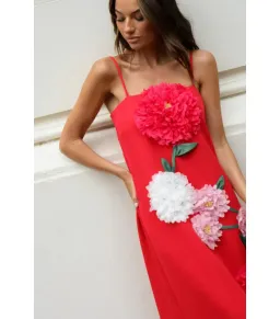 Elliatt Buttercup Embroided Maxi Dress Red Size AU 10 for rent on The Volte - image 7
