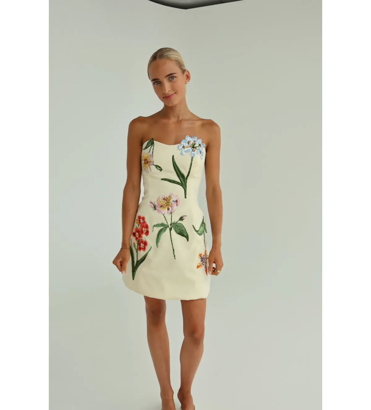Leo Lin Rosario Velvet Mini Dress Botanical Snow Print Size 10 - Image 1