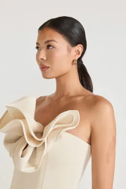 Tojha Fleur Dress Maxi Champagne Beige Size AU 8 for rent on The Volte - image 3