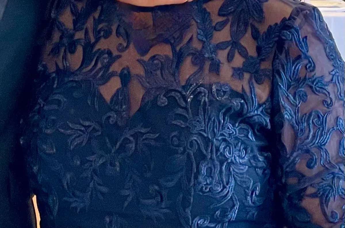 Formal Gown by Bariano Navy Lace 3/4 sleeves tapered length - Image 1