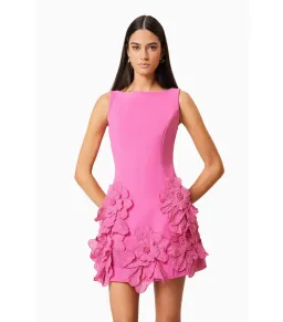 Elliatt Janelle Mini Dress in Pink Size XXS / AU 4 for rent on The Volte - image 2