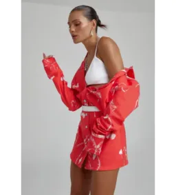 Summi Summi Denim Mini Dress Red Dragon of Hearts Size XL AU 14 for rent on The Volte - image 3