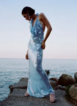 Rat & Boa Anais Dress in Blue XS/AU6 for rent on The Volte - image 1