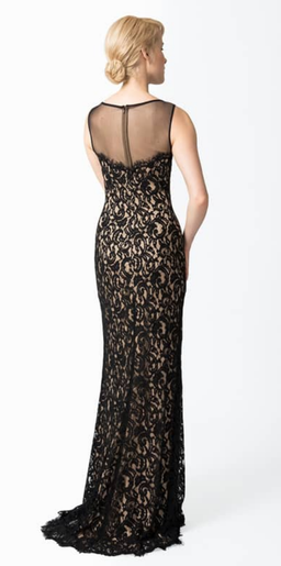 Tadashi Shoji Evening Gown  for rent on The Volte - image 2