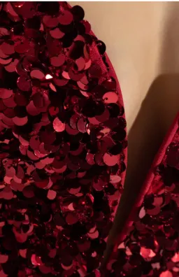 Self Portrait 3D Sequin Maxi Dress Red Size XS AU 6 for rent on The Volte - image 7