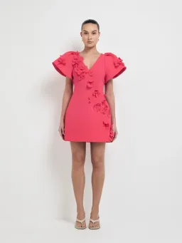 Sheike Michelle Mini Dress  for rent on The Volte - image 1