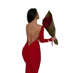 Camila Red Dress for rent on The Volte - image 4
