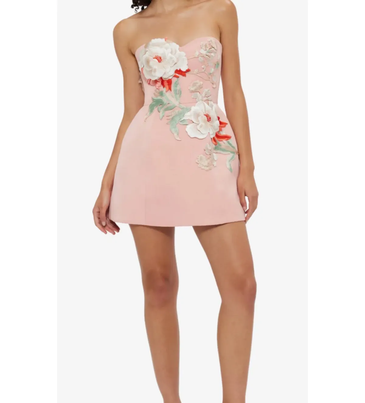 Leo Lin Rosario Appliqué Bustier Mini Dress Peony Print Size 12 - Image 4