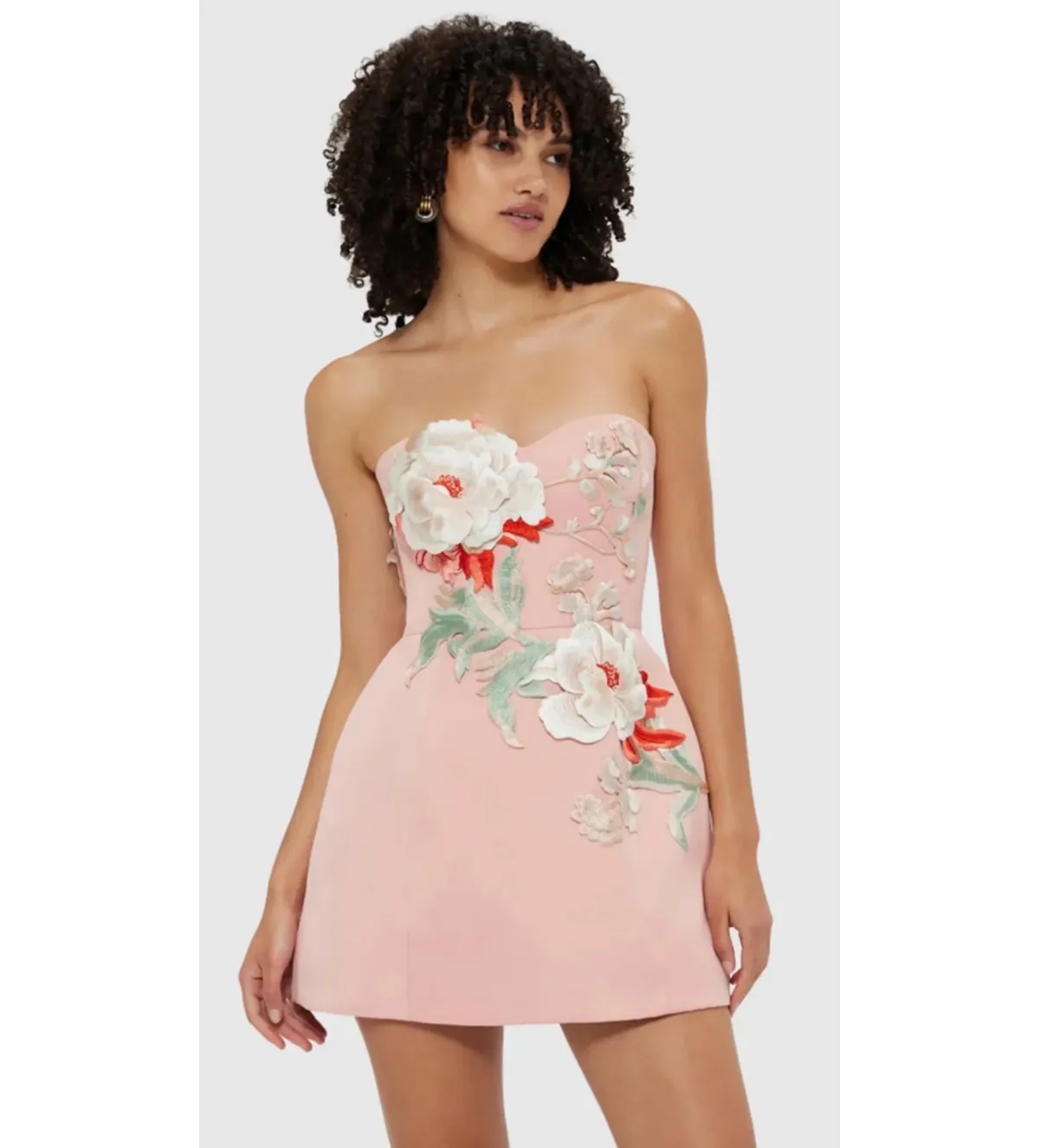 Leo Lin Rosario Appliqué Bustier Mini Dress Peony Print Size 12 - Image 3