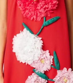 Elliatt Buttercup Embroidered Maxi Dress - Size XL / AU 14 for rent on The Volte - image 5