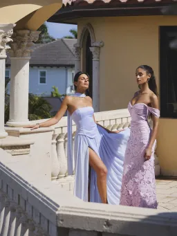 Qianna Baby Blue Peplum Drop Waist Chiffon Gown for rent on The Volte - image 3