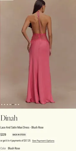Dinah Lace And Satin Maxi Dress Blush Rose size 6 for rent on The Volte - image 2