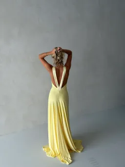 Ance Gria Rosa Gown Yellow/Lemon size XS for rent on The Volte - image 6