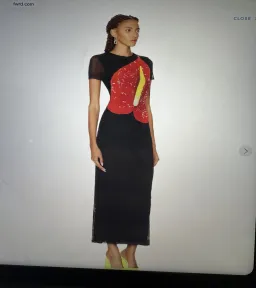 Loewe anthurium dress for rent on The Volte - image 1