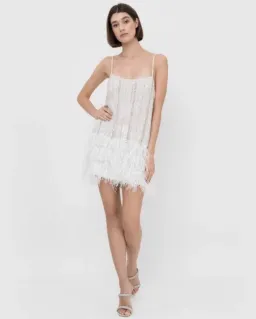 Rachel Gilbert Kenzie Mini Dress Size 2 (AU 10)  for rent on The Volte - image 1
