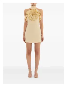 Rebecca Vallance Aubriella Mini Dress Size S (AU 8) for rent on The Volte - image 1