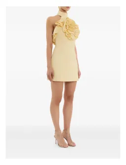 Rebecca Vallance Aubriella Mini Dress Size S (AU 8) for rent on The Volte - image 2