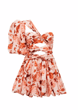Thurley - Lantern Dress in Red Eden Floral Size 6 for rent on The Volte - image 2