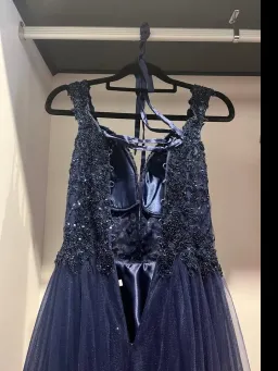 Designer Princess Formal Dress for rent on The Volte - image 5