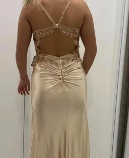 Cinderella Divine Dress Rose gold for rent on The Volte - image 4