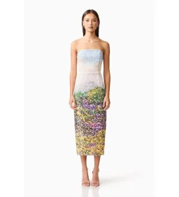 Elliatt Arden Strapless Midi Dress in Multi Ombre Size 12 for rent on The Volte - image 1