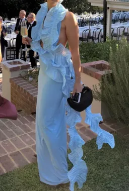Deconduarte Hydrangea Maxi Dress in Baby Blue Size XS / Au 6 for rent on The Volte - image 1
