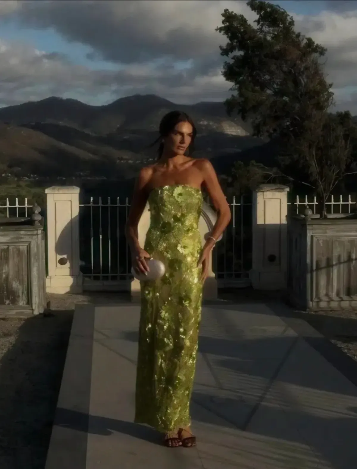 Rachel Gilbert Pierre Gown Citrus Size 10 - Image 6