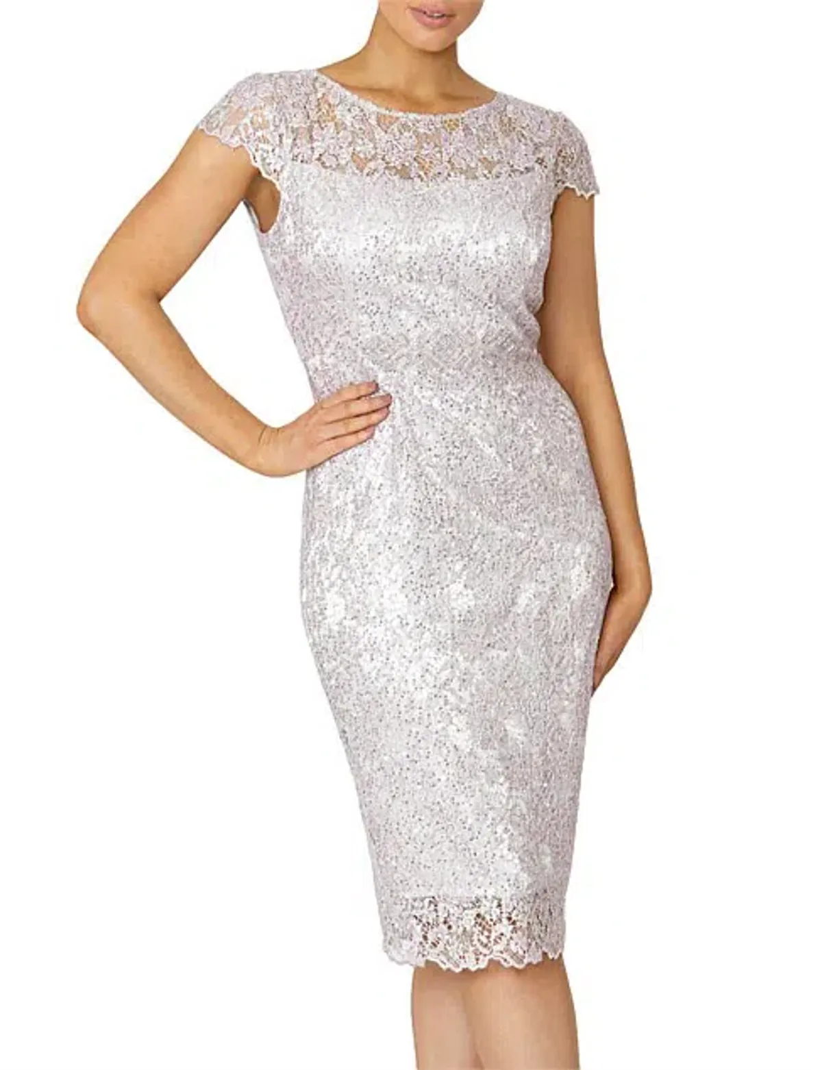 Anthea Crawford  Venetia Sequin Lace Dress Dusk Pink Size 8   - Image 1
