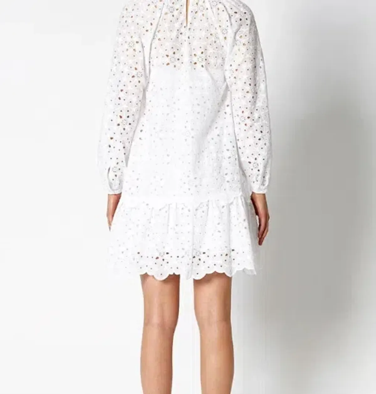 Scanlan Theodore Embroidered Cotton Mini Dress White Size 8 - Image 3