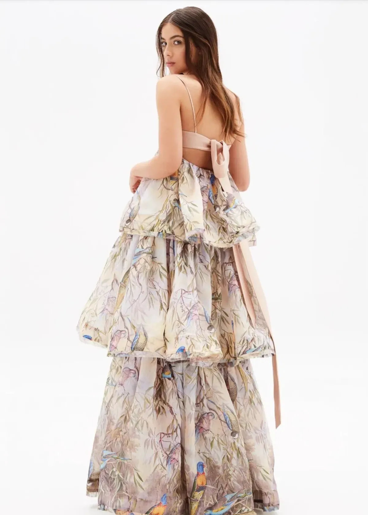 Zimmermann Candescent Parakeets Gown Print Size 2 - Image 4
